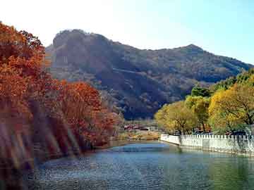 管家婆免费正版资起大全，塑胶市场